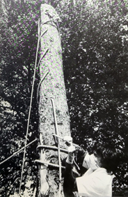 Performance Open End